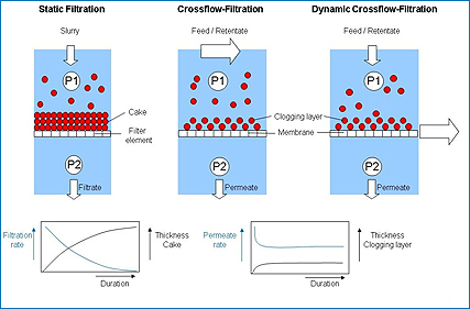 download multicriteria and multiagent decision