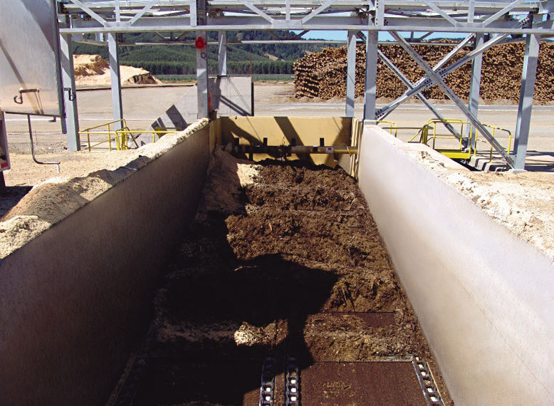 biomass processing facility conveyor
