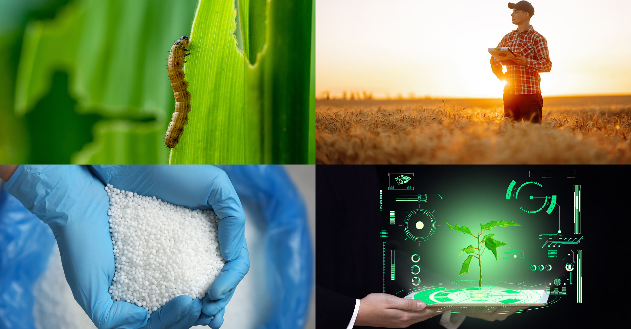 Agrochemicals and fertilizers