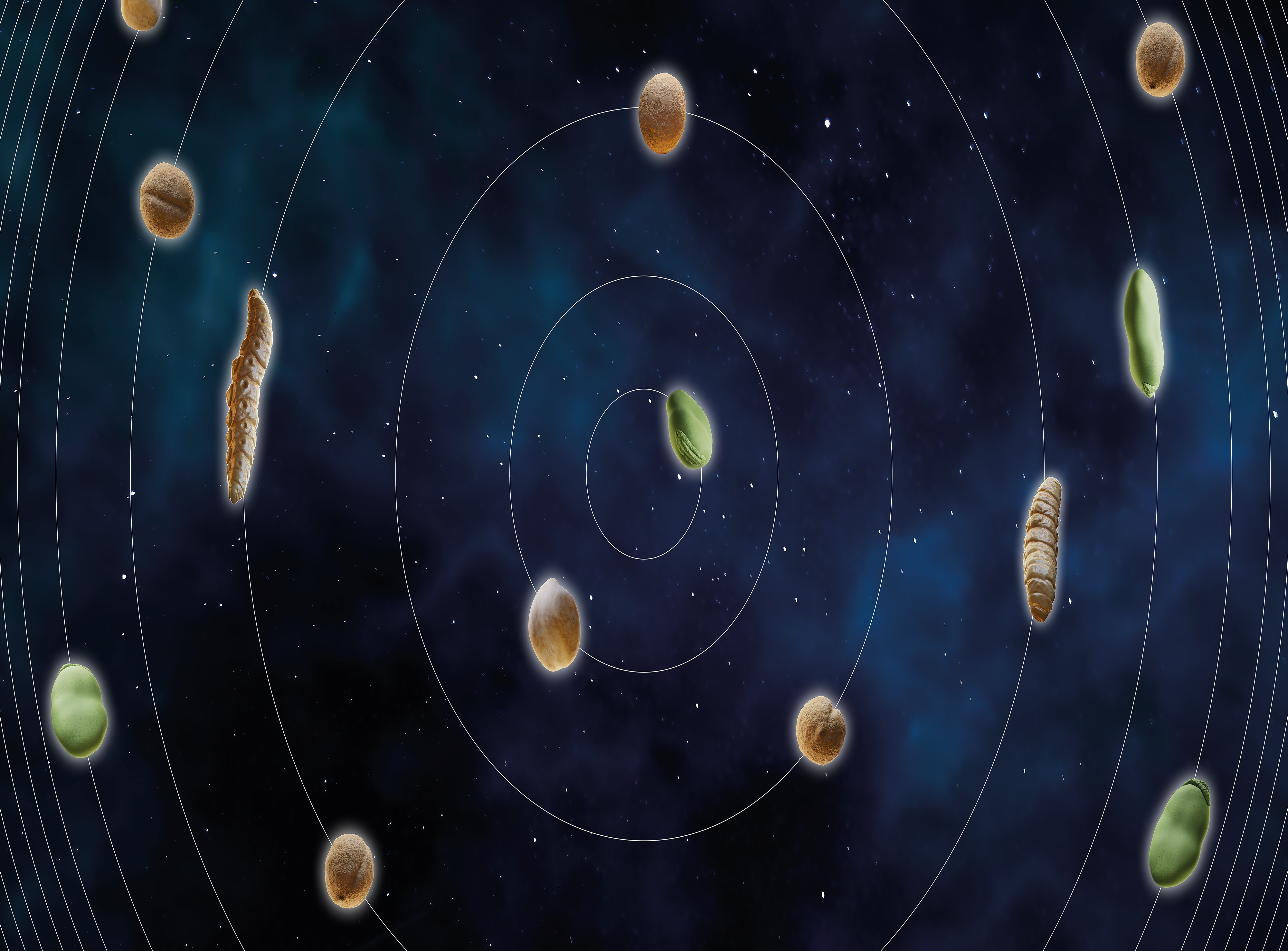 Alternative Proteins