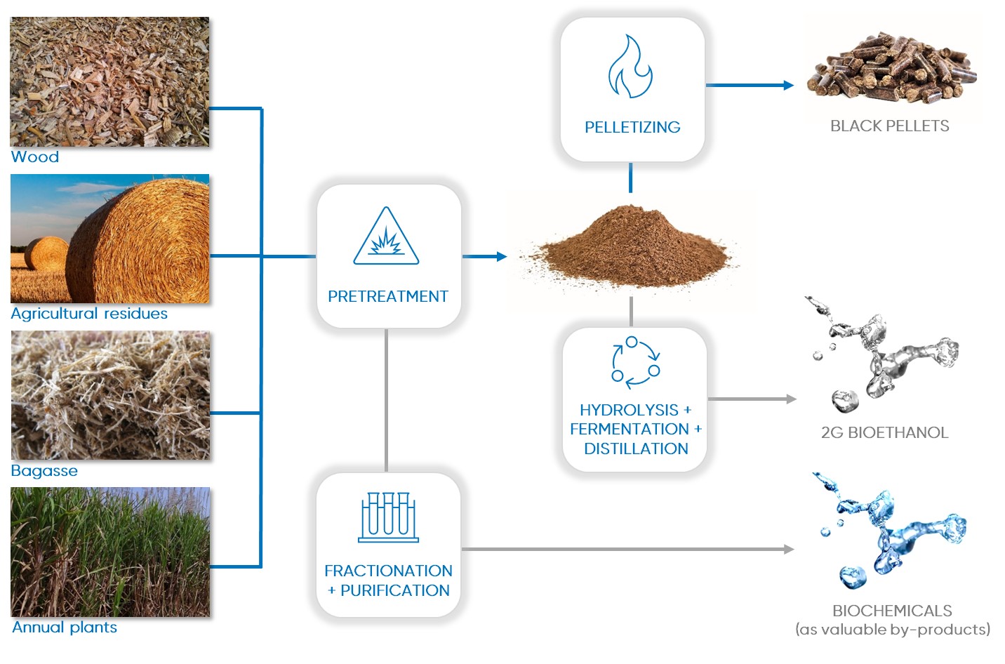 Pretreatment process for biomass