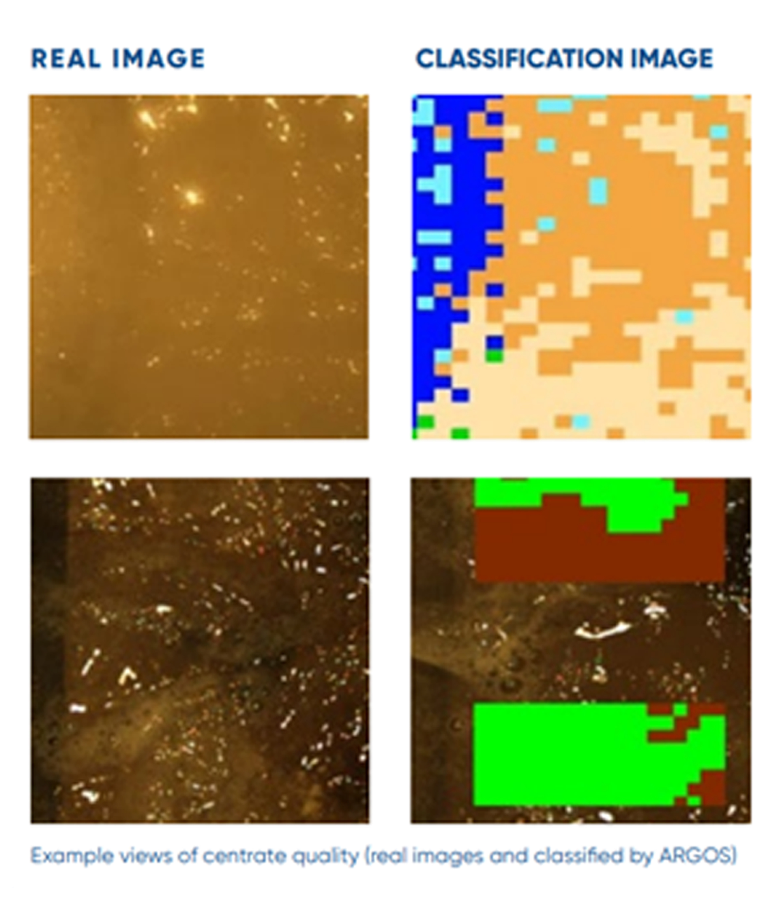 ARGOS_for_decanter_Picture