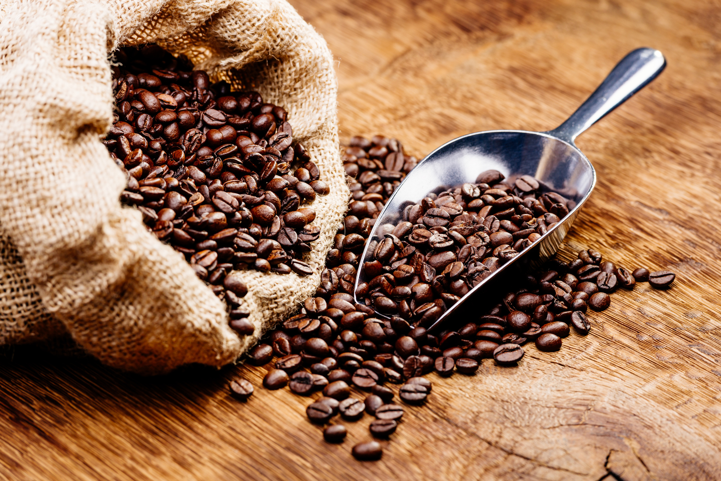 Coffee & cacao processing