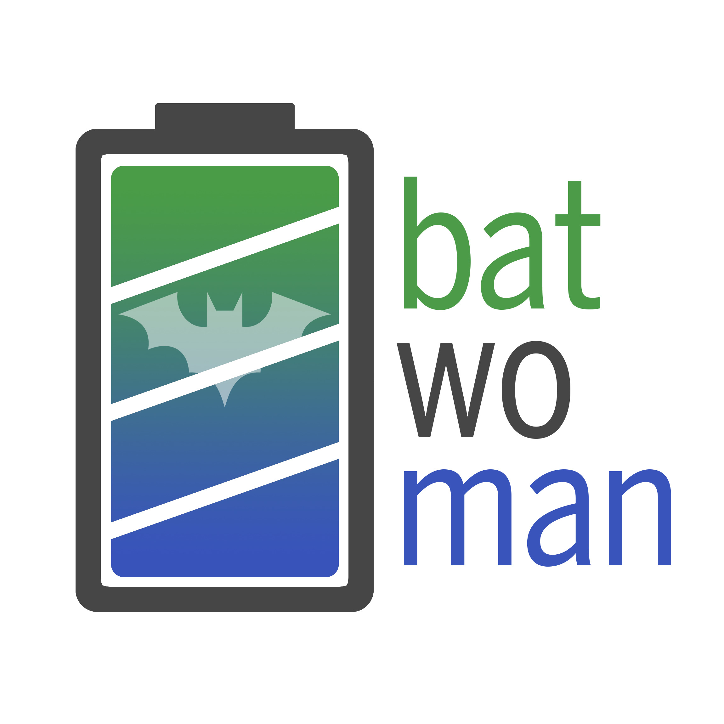 ANDRITZ Sovema R&D project BatWoMan