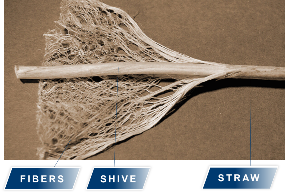 Picture5