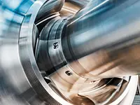 Pump impeller - Oschenik