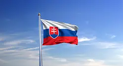 Flag Slovakian