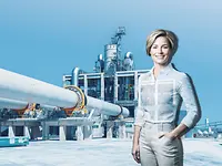 Professionals and experts