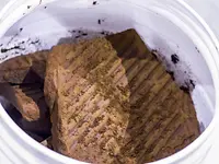 Recovered lignin cake