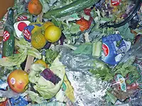 picture_oragnic-waste-input