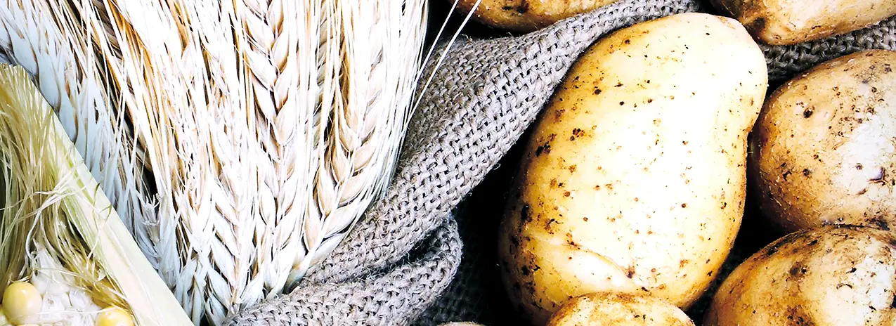 AAG-potatoes-wheat-corn