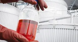Polysulfide sample