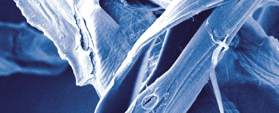 ANDRITZ Advanced TMP (ATMP) technology - Discover now!