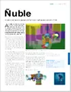 hy-hn27-08-nuble.pdf