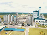 spectrum41_Suzano_cover