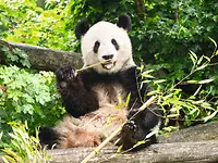 spectrum41_pilotplant_02