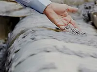 Sludge-dewatering_pic