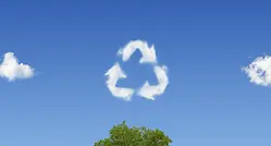 Tree-clouds
