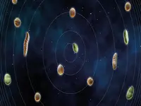 ANDRITZ alternative proteins - peas, lentils, pulses, animal residues