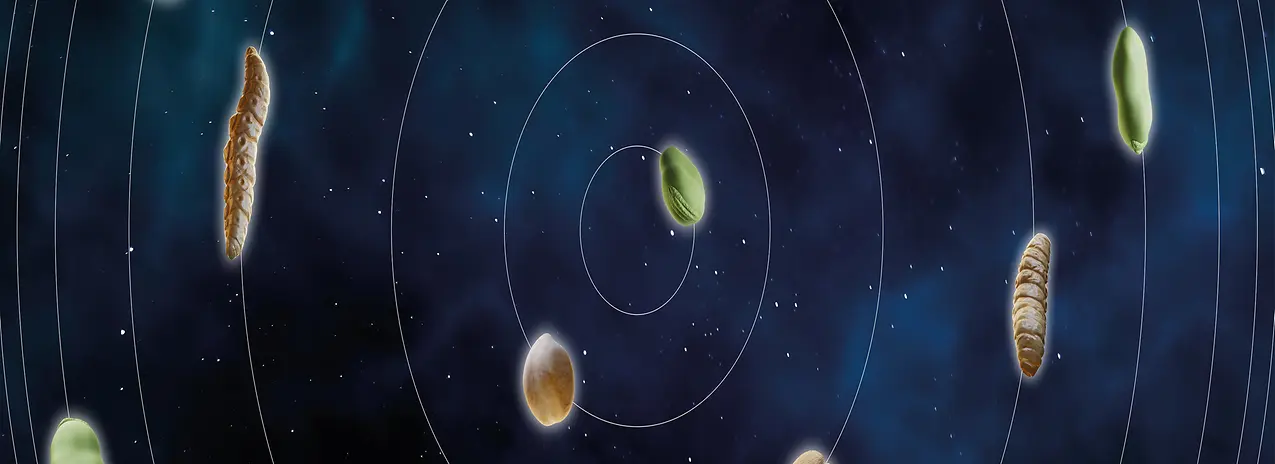 ANDRITZ alternative proteins - peas, lentils, pulses, animal residues