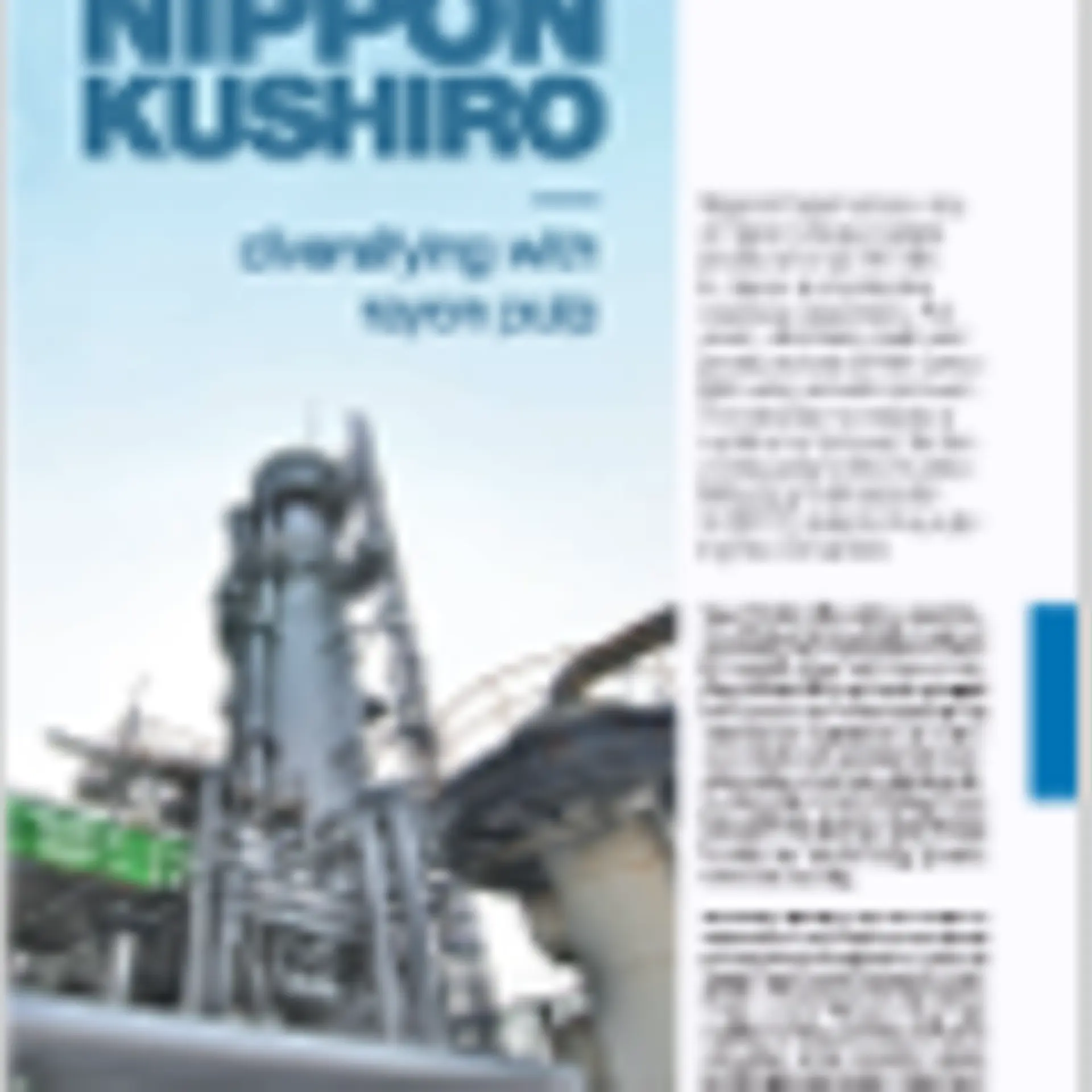 pp-spectrum31-en--nipponpaper.pdf