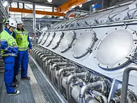 spectrum41_aeaenekoski-limewhite_cover