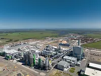 UPM PASO DE LOS TOROS PULP MILL. One of the most ­modern and biggest pulp mills worldwide.