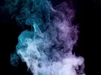 AdobeStock_223816037