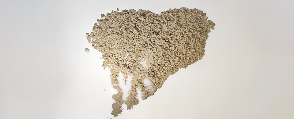 ANDRITZ biomass powder burning: A financially appealing solution to ...