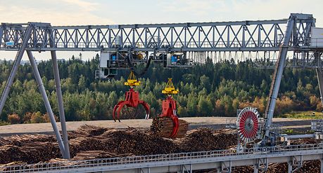 Logyard Wood processing solutions for sawmills