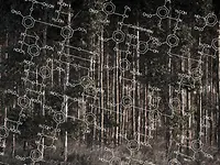 Eucalyptus trees with chemical formula for lignin superimposed