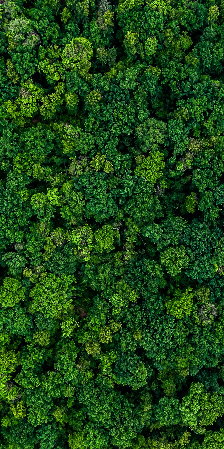 AdobeStock_443513594