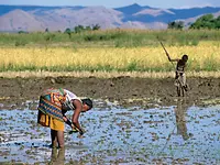 Environmentally friendly hydropower solutions