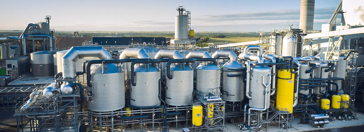 0226 2348 FotoBehrendt