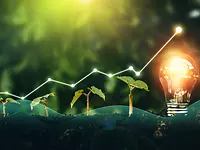 BannerWFS