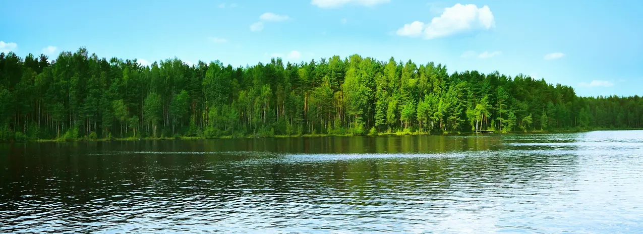 ANDRITZ BioCircleToZero