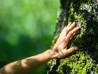 Explore how we tackle today’s global megatrends and shape a sustainable tomorrow together.