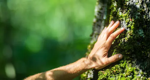 Explore how we tackle today’s global megatrends and shape a sustainable tomorrow together.