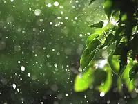 ANDRITZ The Shift - Issue 1