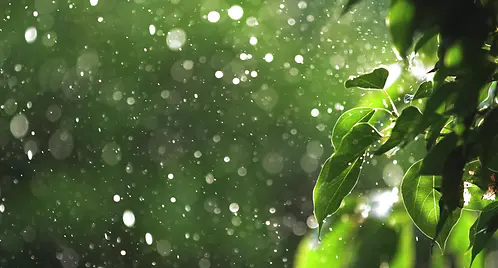 ANDRITZ The Shift - Issue 1