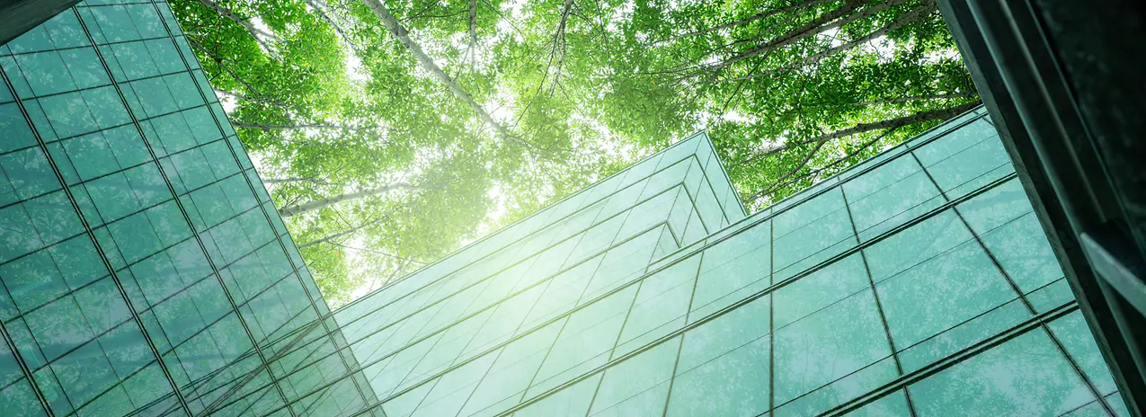 AdobeStock_1473377270