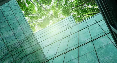 AdobeStock_1473377270