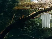 pic_MMCF-key-visual-gamma_nonwoven-and-textile