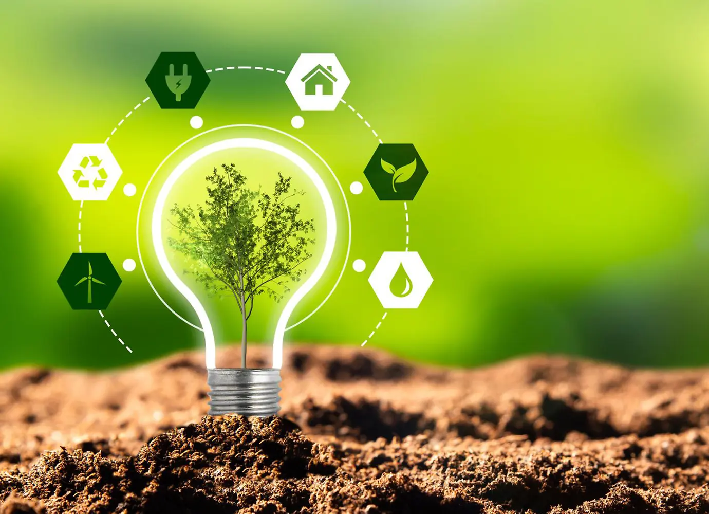 Torrefaction, green transition, sustainability