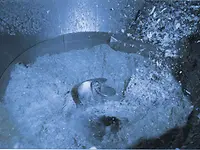 pp-HCpulping-fibresolveFSH_insideview