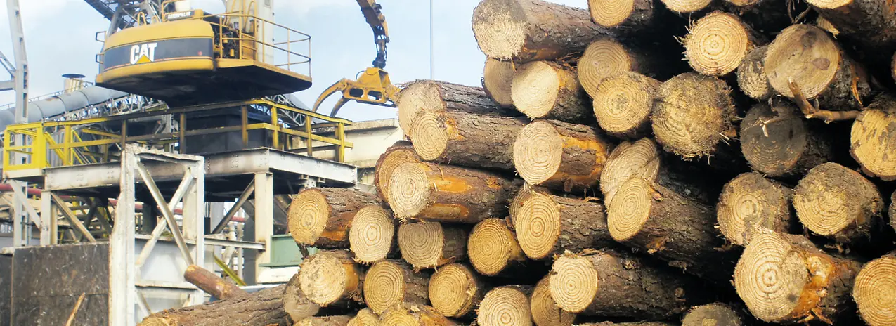 panelboard-wood-processing_arauco