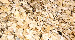 panelboard-chipwashing-woodchips